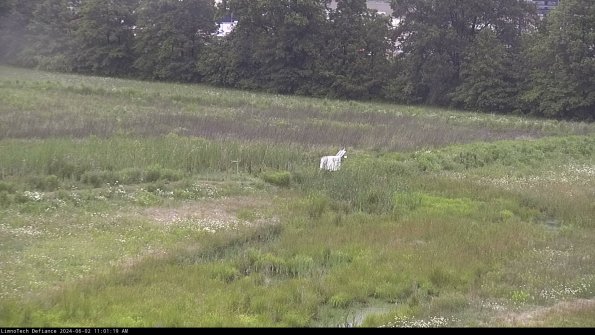 Cell 2 to 3_24-06-02_11-01-20-35