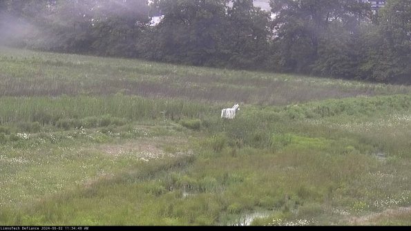 Cell 2 to 3_24-06-02_11-34-49-46