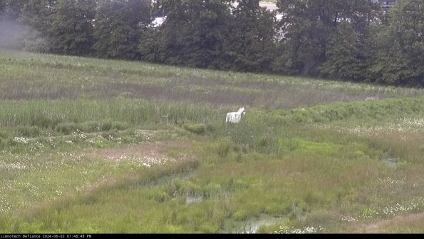 Cell 2 to 3_24-06-02_13-48-48-48