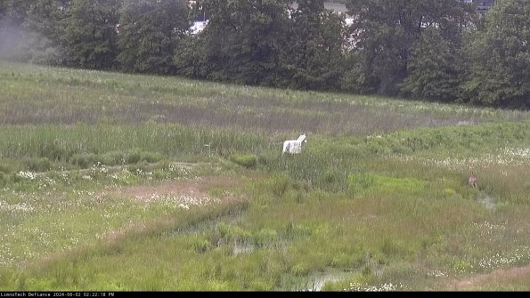 Cell 2 to 3_24-06-02_14-22-18-50