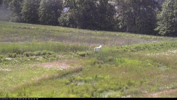 Cell 2 to 3_24-06-02_16-02-47-36