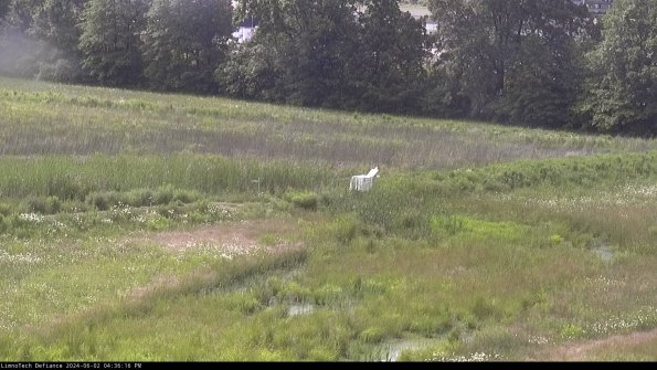 Cell 2 to 3_24-06-02_16-36-16-52