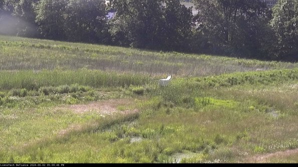 Cell 2 to 3_24-06-02_17-09-46-47