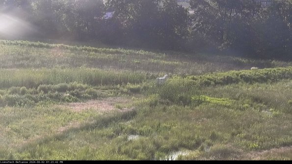 Cell 2 to 3_24-06-02_19-23-43-35