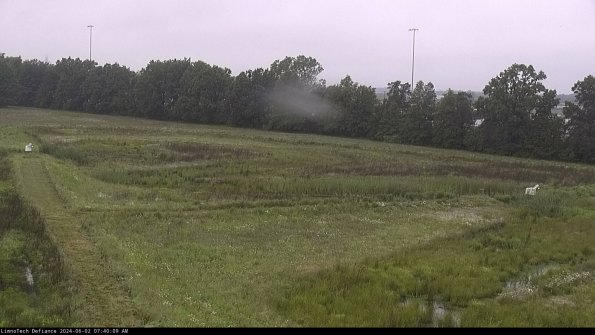 Cell 2_24-06-02_07-40-10-35