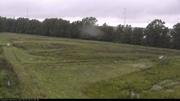 Cell 2_24-06-02_08-47-09-35