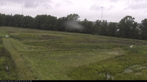 Cell 2_24-06-02_09-20-38-37