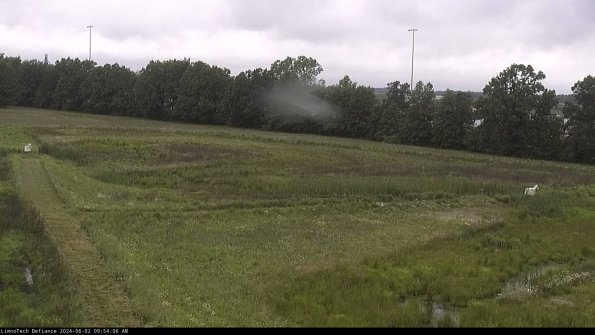 Cell 2_24-06-02_09-54-07-36