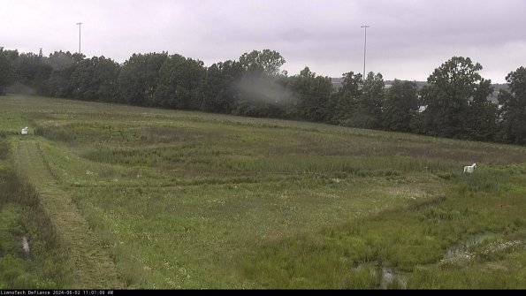 Cell 2_24-06-02_11-01-07-33