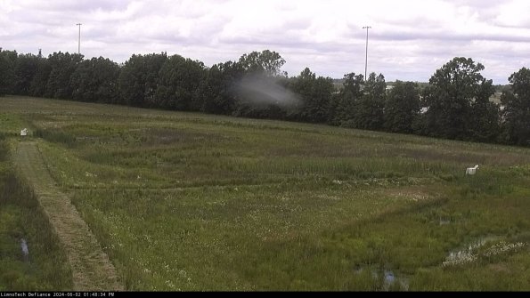 Cell 2_24-06-02_13-48-35-40