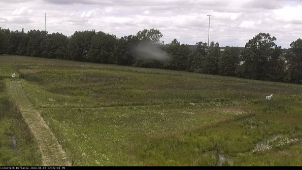 Cell 2_24-06-02_14-22-05-39