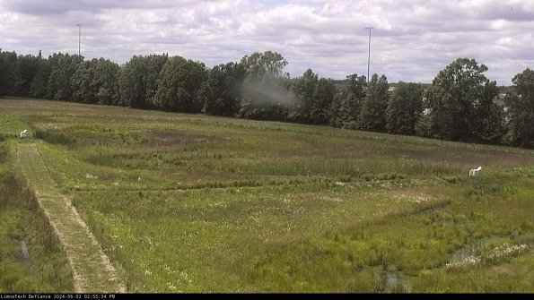 Cell 2_24-06-02_14-55-35-34