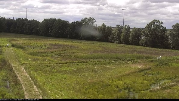 Cell 2_24-06-02_16-02-34-35