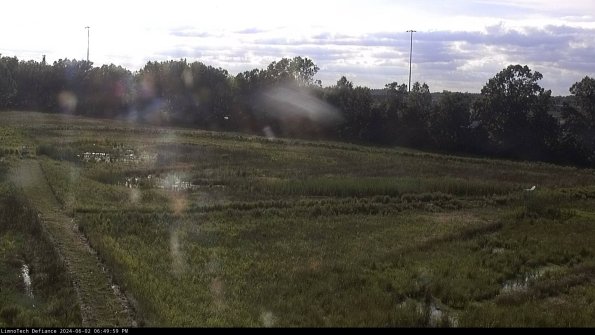 Cell 2_24-06-02_18-50-00-39