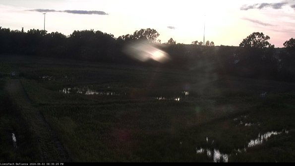 Cell 2_24-06-02_20-30-30-35