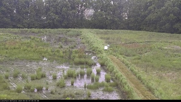 Cell 3 to 4_24-06-02_07-40-51-32