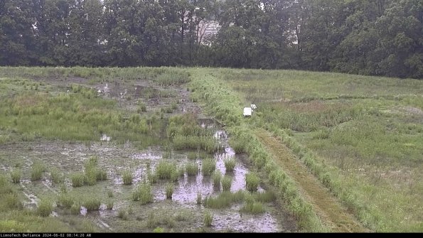 Cell 3 to 4_24-06-02_08-14-21-34