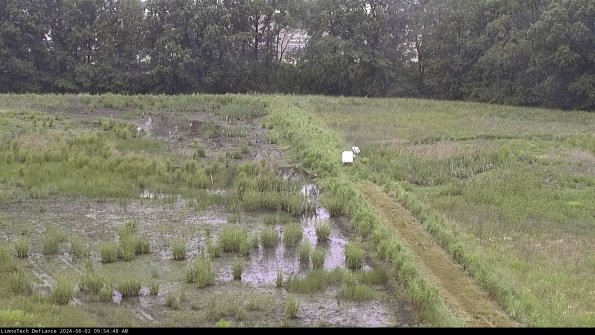 Cell 3 to 4_24-06-02_09-54-49-33