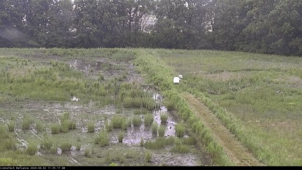 Cell 3 to 4_24-06-02_11-35-18-33