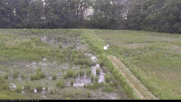 Cell 3 to 4_24-06-02_13-49-17-34