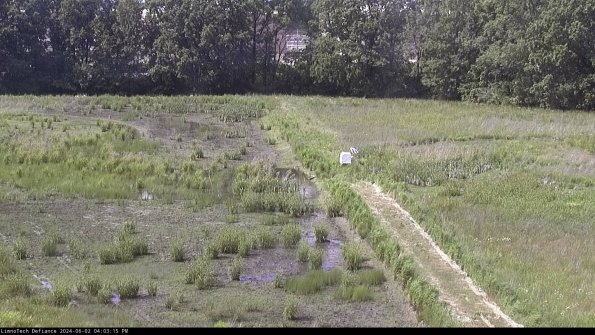 Cell 3 to 4_24-06-02_16-03-16-33