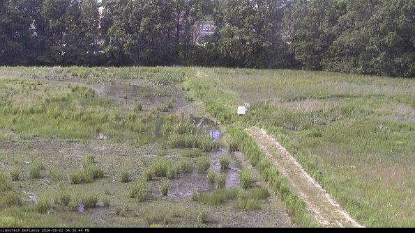 Cell 3 to 4_24-06-02_16-36-45-35