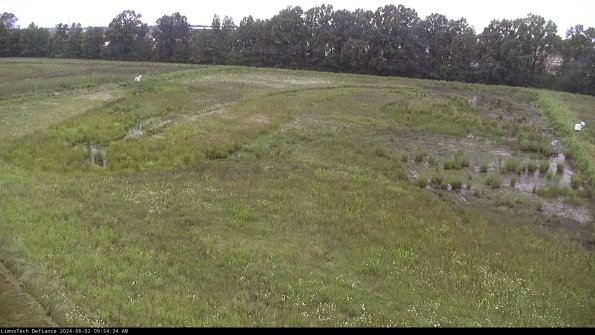 Cell 3_24-06-02_09-54-35-32