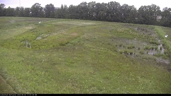 Cell 3_24-06-02_11-01-34-56