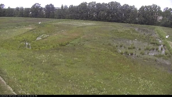 Cell 3_24-06-02_14-22-33-32