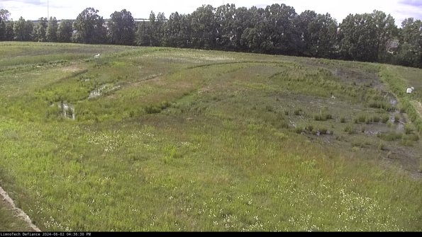 Cell 3_24-06-02_16-36-31-33