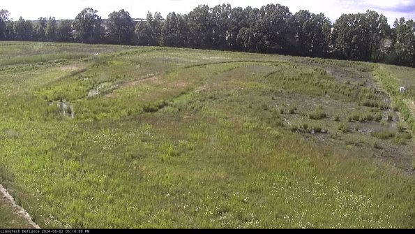 Cell 3_24-06-02_17-10-01-32