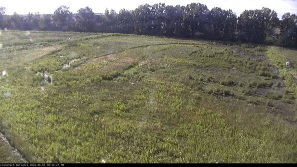 Cell 3_24-06-02_18-50-28-31