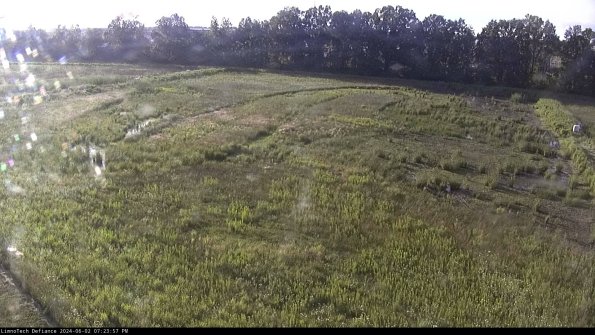 Cell 3_24-06-02_19-23-57-57