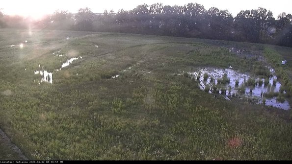 Cell 3_24-06-02_20-30-58-34