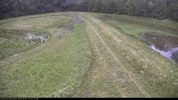 Cell 4 to Basin_24-06-02_11-02-32-32