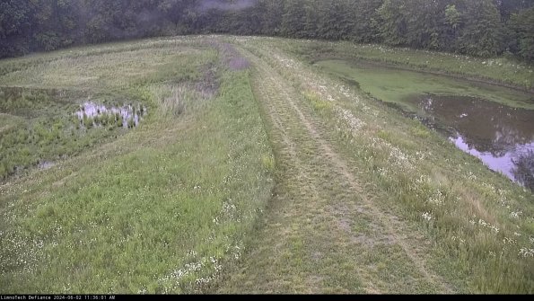 Cell 4 to Basin_24-06-02_11-36-02-34