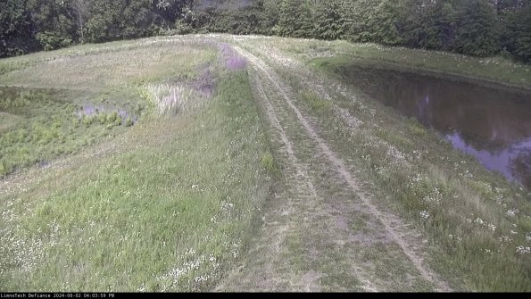 Cell 4 to Basin_24-06-02_16-04-00-34