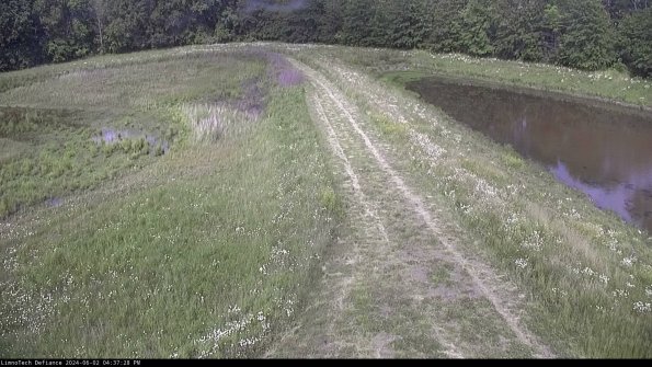 Cell 4 to Basin_24-06-02_16-37-29-36