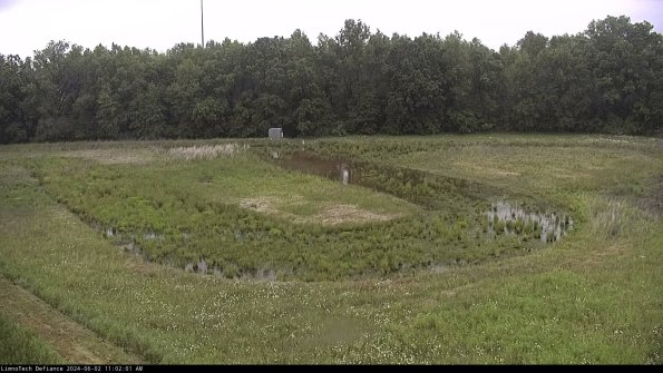 Cell 4_24-06-02_11-02-02-32