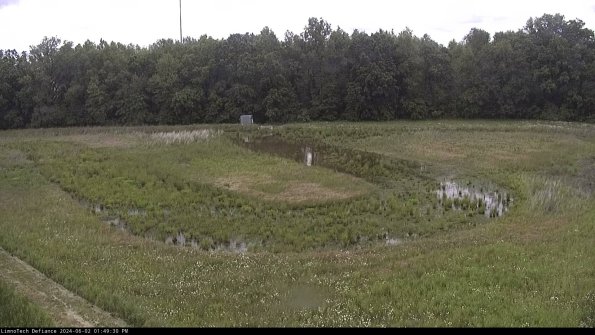 Cell 4_24-06-02_13-49-31-32