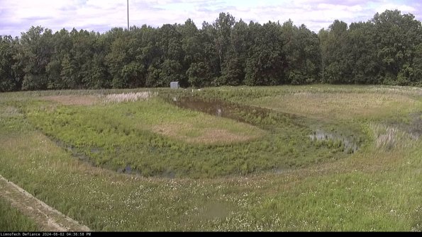 Cell 4_24-06-02_16-36-59-36