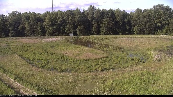 Cell 4_24-06-02_18-50-56-31