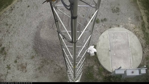 Hatch_24-06-02_16-38-39-33