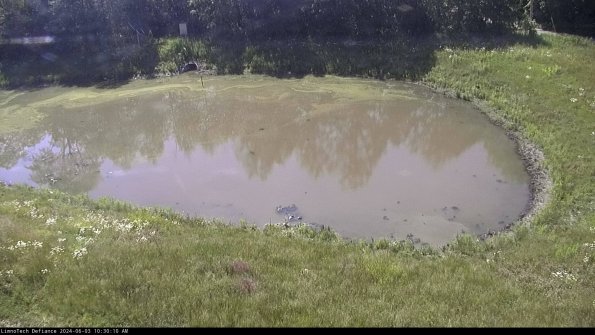 Basin Right_24-06-03_10-30-11-33