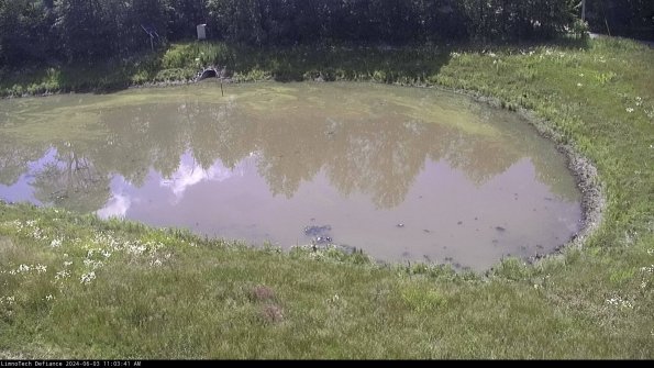 Basin Right_24-06-03_11-03-42-32