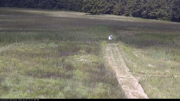 Cell 1 to 2_24-06-03_10-27-49-33