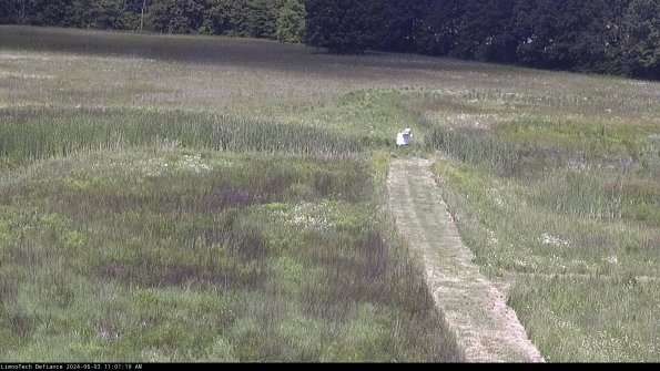 Cell 1 to 2_24-06-03_11-01-20-35