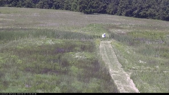 Cell 1 to 2_24-06-03_11-34-50-33