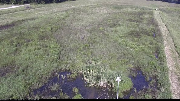 Cell 1_24-06-03_08-47-07-35