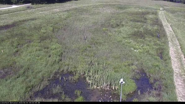 Cell 1_24-06-03_09-54-05-32